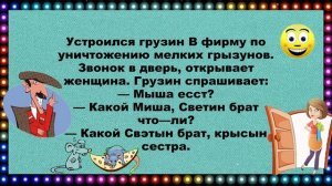 Ты доволен своими пчелами...?Анекдоты выпуск 37.СМЕШНОЙ анекдот дня.