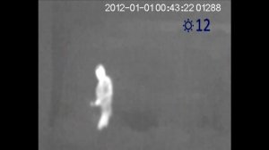 Тест тепловизора Pulsar Quantum HD50S на 50 м