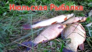 КАРАСЬ НА ПОПЛАВОК, ЩУКА НА ТВИСТЕР! ВЕЧЕРНЯЯ РЫБАЛКА В ИЮЛЕ!