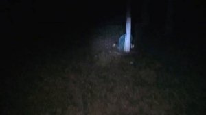 ОДИН НОЧЬЮ НА КЛАДБИЩЕ.