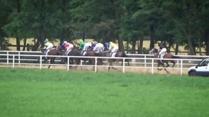 Приз Анилина