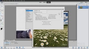 Can You Use AI to Make a New Background for Photoshop Elements?