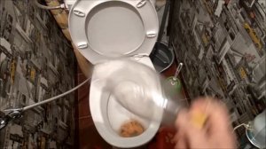 Что делать если засорился унитаз/как прочистить засор в туалете/Новая Жизнь