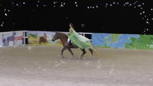 Полёт на тяжеловозе /Конная выставка #ИППОсфера 2018 /Лошадь породы советский тяжеловоз