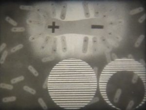Химия. Металлы. Механизм электролитической диссоциации