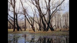 Весна - Михаил Митраков "MiX-Л_Georgy_S"