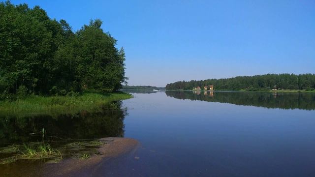 река Молога