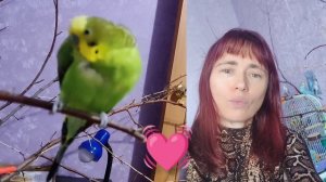 Птичкины красавчики ❤️