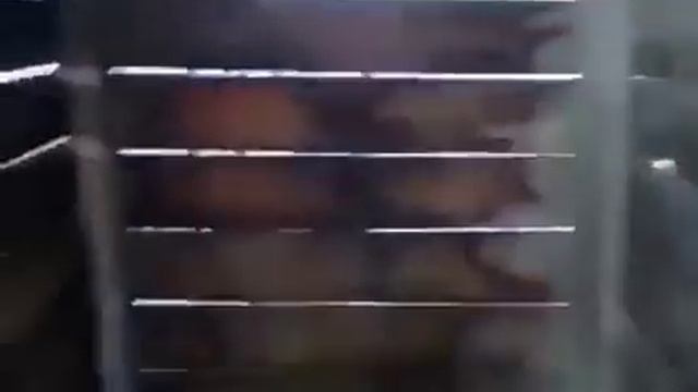 Шикарный туалет смотреть онлайн