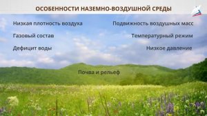 Среды жизни и средообразующая деятельность организмов