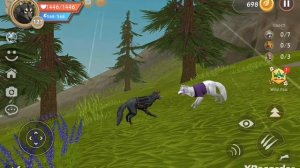 знаешь почему мы не ненавидим людей????