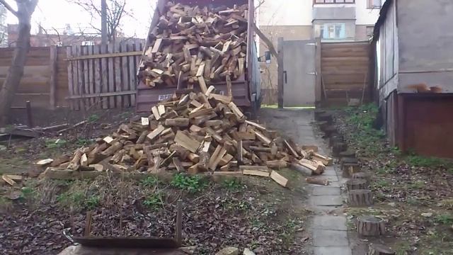 выгрузка дуба смотреть онлайн