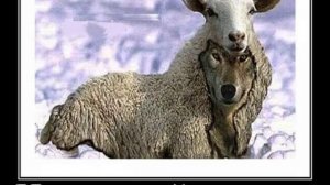 Сталкер или Сновидящий как определить?