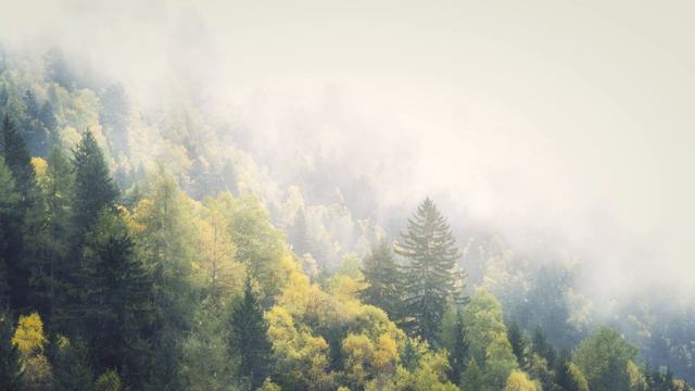 432Hz stereo ambient guitar - a beautiful sound. Use headphones. 4.55 смотреть онлайн