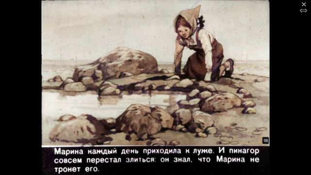 Видеоурок Тема Знакомство с творчеством Г.Снегирева Пинагор Старшая группа смотреть онлайн