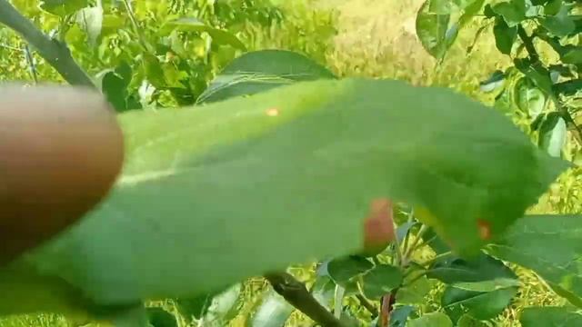 Выехали на природу отдохнуть.@, смотреть онлайн