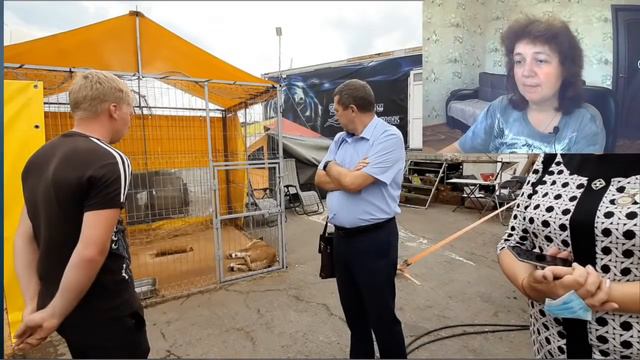 Стрим 30 августа - второй день работы комиссии по Муфасе-Грому смотреть онлайн