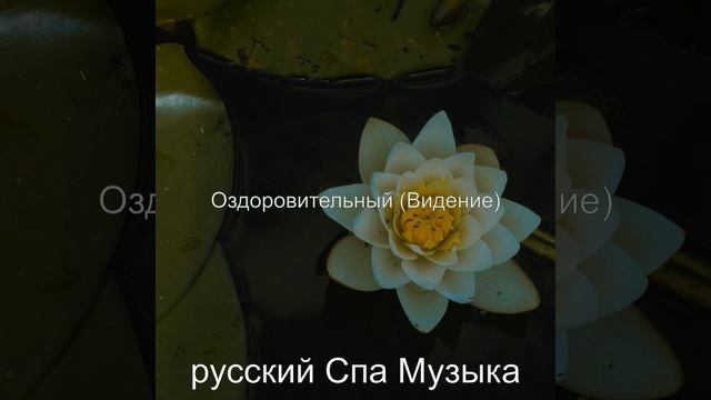 Впечатление (спа)