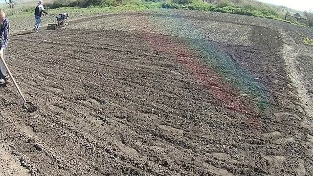 Мотоблок прополка и посадка огорода