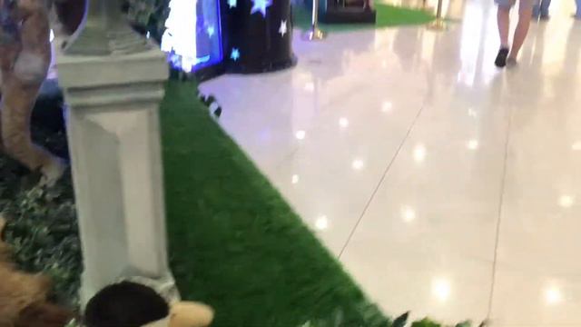 IMG 4 смотреть онлайн