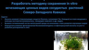 сохранение исчезающих видов растений in vitro.wmv