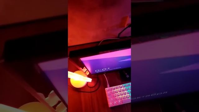 Неоновый светильник "Пламя" видео от покупателей смотреть онлайн