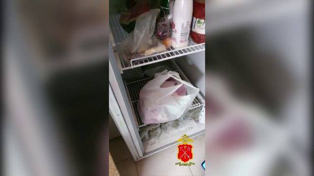 В Ленинградской области полицейские ликвидировали наркоплантацию в одном из домов в деревне Чёрное