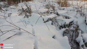 Пруд на участке в сильные морозы -27. Аэрация в своём пруду на даче для рыбы и раков. Следы зверей?