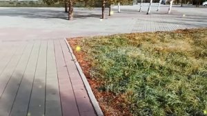Дорогая! Я женился на тебе и не собираюсь содержать, тёщу и тестя. - сказал муж
