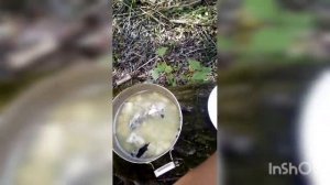 Небольшой обзор нашей рыбалки на Обском водохранилище в селе Масляха "ОХОТА-РЫБАЛКА в Алтайском кра