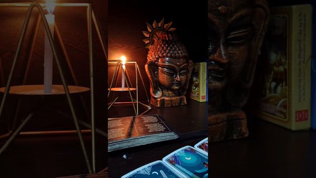 🧿White Lotus Tarot Bengali is live смотреть онлайн