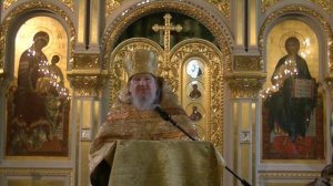 архимандрит Николай (Парамонов) " Новозаветная Церковь - Новый Виноградник "