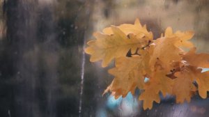 волшебство осени