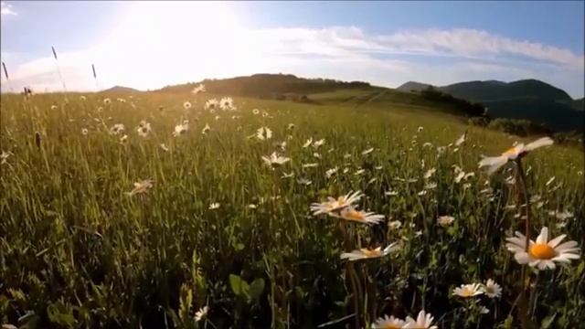 Божественная музыка трогающая сердце