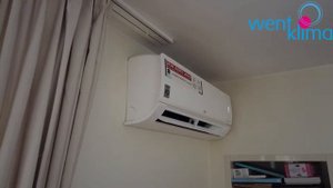 LG Standard Plus 2020