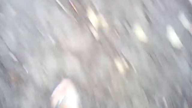 Лагерь Березовая Роща смотреть онлайн