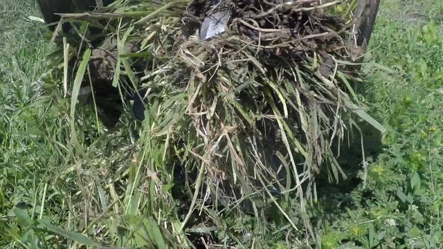 Не получилось... / ЛопЛош / Мотокультиватор