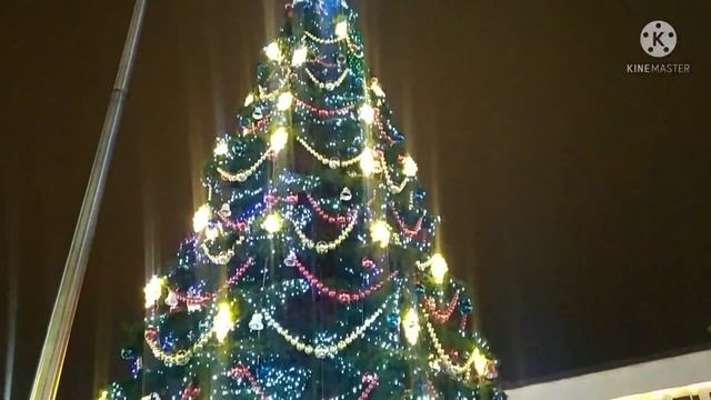 Новогодний Краснодар Переезд в Краснодар январь 2022