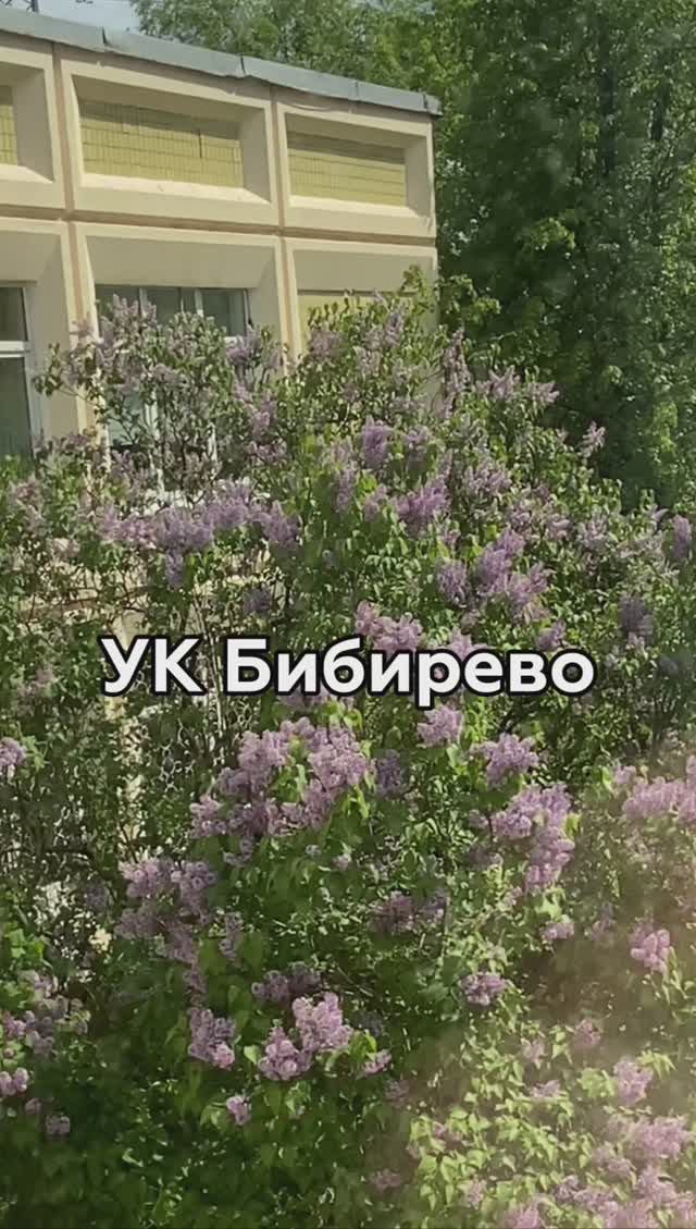 Поступай правильно