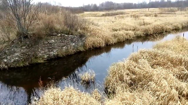 Река Малица узкоколейка 1 смотреть онлайн