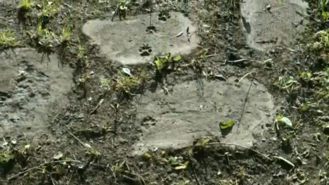 АНТИЧНЫЙ ДВОРИК смотреть онлайн