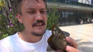 Поездка в Сямэнь (1 часть) - Жизнь в Китае #53