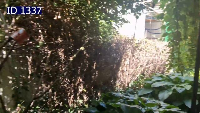 Дом, прекрасный абсолютно во всём! смотреть онлайн