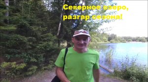Северное озеро, разгар сезона.