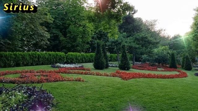 Королева для королевы.