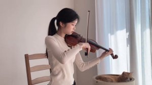 Ariana Grande - 7 rings - Violin Cover (Henry version | 헨리)