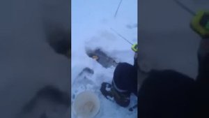 Орлинское озеро рыбалка