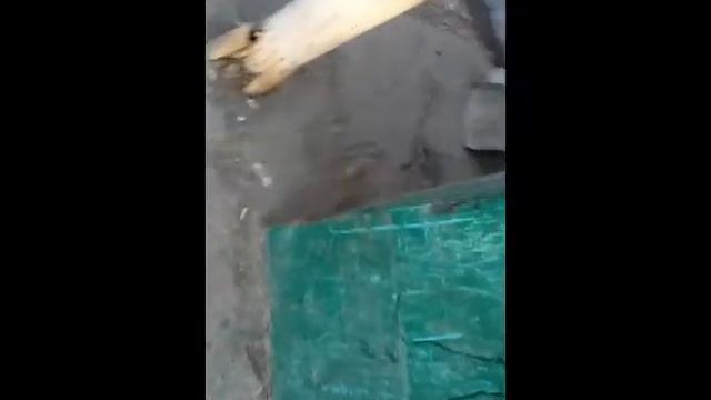 ooo sitymatic смотреть онлайн