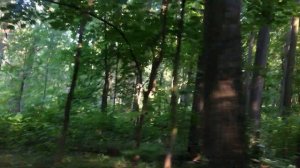 Царицыно. Экскурсия с аудиогидом на электромобиле
