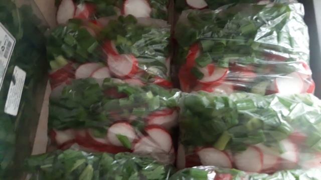 Первые Заморозки На Зиму:ЩАВЕЛЬ,ЗЕЛЕНЫЙ ЛУК,РЕДИС,ОГУРЕЦ,МЯТА.?